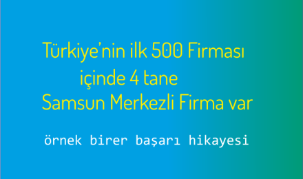 Samsun'dan 4 Şirket, Türkiye'nin İlk 500 Sanayi Kuruluşu Listesine Adını Yazdırdı